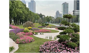 來現(xiàn)場打卡，感受“美麗無錫”的美好